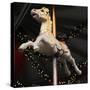 Carousel Horse-Ned Frisk Photography-Stretched Canvas