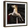 Carousel Horse-Ned Frisk Photography-Framed Photographic Print