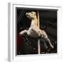 Carousel Horse-Ned Frisk Photography-Framed Photographic Print