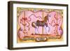 Carousel Horse-Judy Mastrangelo-Framed Giclee Print