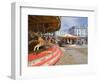 Carousel on Brighton Beach, Brighton, Sussex, England, United Kingdom-Ethel Davies-Framed Photographic Print