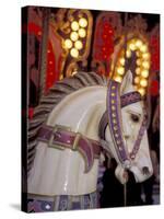 Carousel, Seattle, Washington, USA-Merrill Images-Stretched Canvas