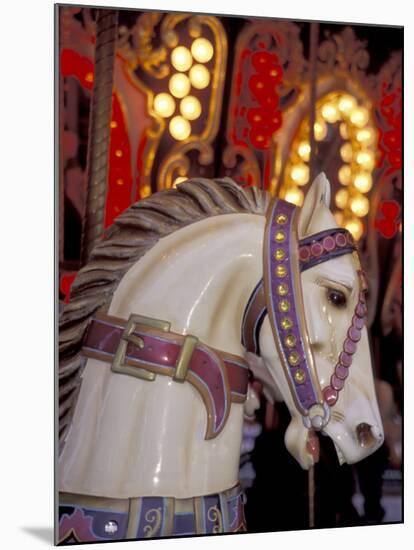 Carousel, Seattle, Washington, USA-Merrill Images-Mounted Photographic Print