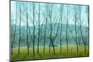 Wood Mount