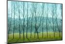 Wood Mount