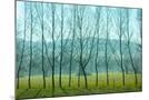Wood Mount