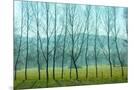 Wood Mount
