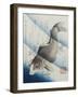 Carp Among Aquatic Leaves-Katsushika Taito II-Framed Giclee Print