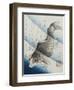 Carp Among Aquatic Leaves-Katsushika Taito II-Framed Giclee Print