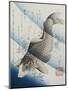 Carp Among Aquatic Leaves-Katsushika Taito II-Mounted Giclee Print