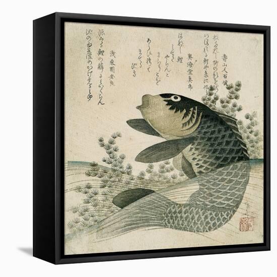 Carp Among Pond Plants, C.1800-Ryuryukyo Shinsai-Framed Stretched Canvas