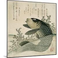 Carp Among Pond Plants, C.1800-Ryuryukyo Shinsai-Mounted Giclee Print