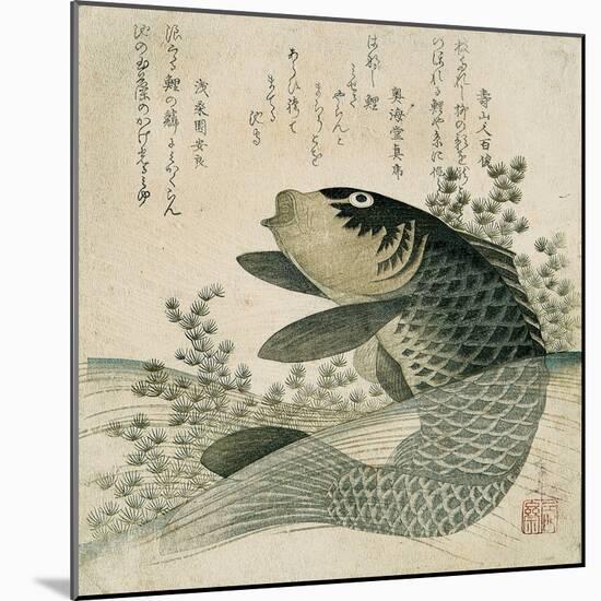 Carp Among Pond Plants, C.1800-Ryuryukyo Shinsai-Mounted Giclee Print