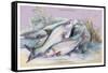 Carp Bream and Roach-Robert Hamilton-Framed Stretched Canvas