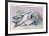 Carp Bream and Roach-Robert Hamilton-Framed Art Print