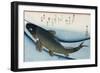 Carp', from the Series 'Collection of Fish'-Ando Hiroshige-Framed Giclee Print