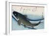 Carp', from the Series 'Collection of Fish'-Ando Hiroshige-Framed Giclee Print
