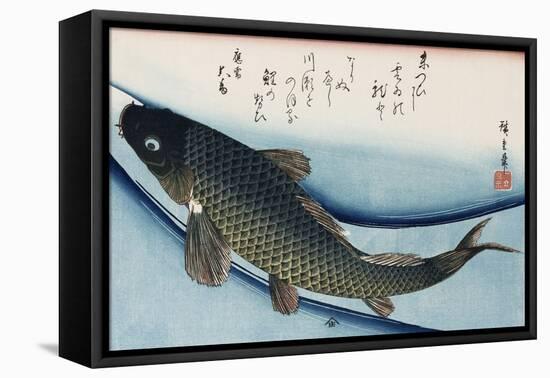 Carp', from the Series 'Collection of Fish'-Ando Hiroshige-Framed Stretched Canvas