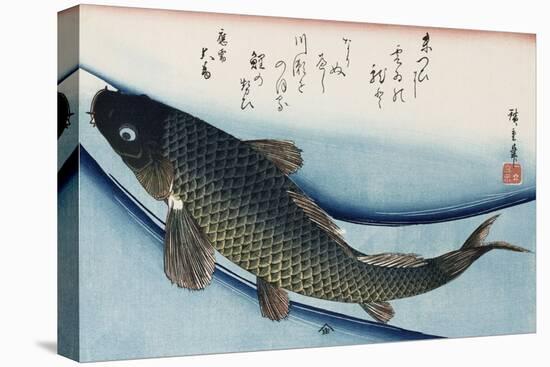 Carp', from the Series 'Collection of Fish'-Ando Hiroshige-Stretched Canvas