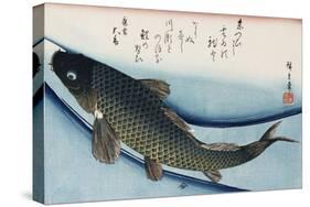 Carp', from the Series 'Collection of Fish'-Ando Hiroshige-Stretched Canvas