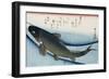 Carp', from the Series 'Collection of Fish'-Utagawa Hiroshige-Framed Giclee Print