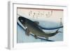 Carp', from the Series 'Collection of Fish'-Utagawa Hiroshige-Framed Giclee Print