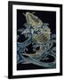 Carp in Waves-null-Framed Giclee Print