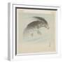 Carp (Koi) (Colour Woodblock Print)-Ohara Koson-Framed Giclee Print