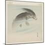 Carp (Koi) (Colour Woodblock Print)-Ohara Koson-Mounted Giclee Print