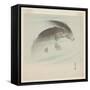 Carp (Koi) (Colour Woodblock Print)-Ohara Koson-Framed Stretched Canvas