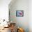 Carp Swimming Against Current-null-Framed Stretched Canvas displayed on a wall