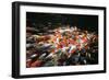 Carp-Seaham-Framed Photographic Print