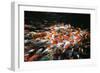 Carp-Seaham-Framed Photographic Print