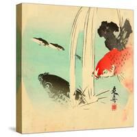Carp-Zeshin Shibata-Stretched Canvas