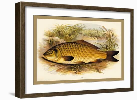 Carp-A.f. Lydon-Framed Art Print