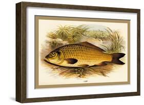 Carp-A.f. Lydon-Framed Art Print