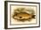 Carp-A.f. Lydon-Framed Art Print