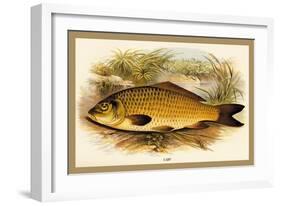 Carp-A.f. Lydon-Framed Art Print