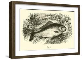 Carp-null-Framed Giclee Print