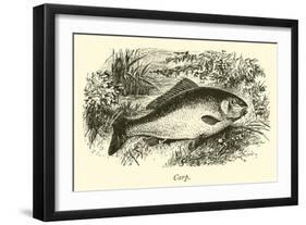 Carp-null-Framed Giclee Print