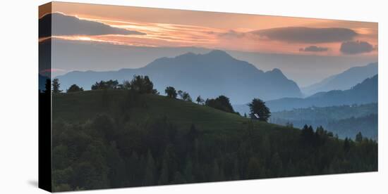 Carpathian Mountains Landscape at Sunrise Near Bran Castle, Transylvania, Romania, Europe-Matthew Williams-Ellis-Stretched Canvas