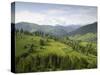 Carpathian Mountains North of Campulung Moldovenesc, Moldavia, Southern Bucovina, Romania, Europe-Gary Cook-Stretched Canvas