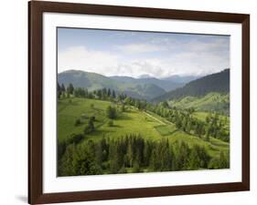 Carpathian Mountains North of Campulung Moldovenesc, Moldavia, Southern Bucovina, Romania, Europe-Gary Cook-Framed Photographic Print