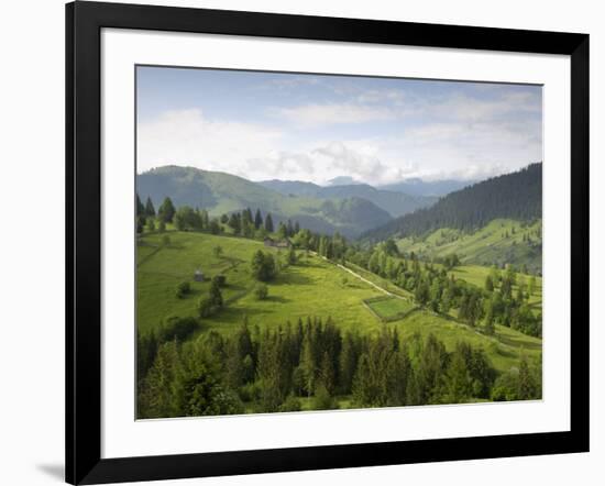 Carpathian Mountains North of Campulung Moldovenesc, Moldavia, Southern Bucovina, Romania, Europe-Gary Cook-Framed Photographic Print