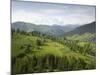 Carpathian Mountains North of Campulung Moldovenesc, Moldavia, Southern Bucovina, Romania, Europe-Gary Cook-Mounted Photographic Print