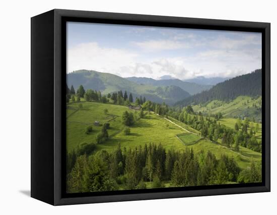 Carpathian Mountains North of Campulung Moldovenesc, Moldavia, Southern Bucovina, Romania, Europe-Gary Cook-Framed Stretched Canvas