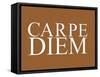 Carpe Diem Art Poster Print-null-Framed Stretched Canvas