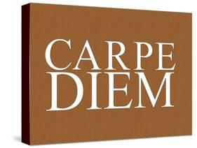 Carpe Diem Art Poster Print-null-Stretched Canvas