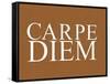 Carpe Diem Art Poster Print-null-Framed Stretched Canvas