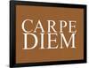 Carpe Diem Art Poster Print-null-Framed Poster